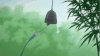 风
